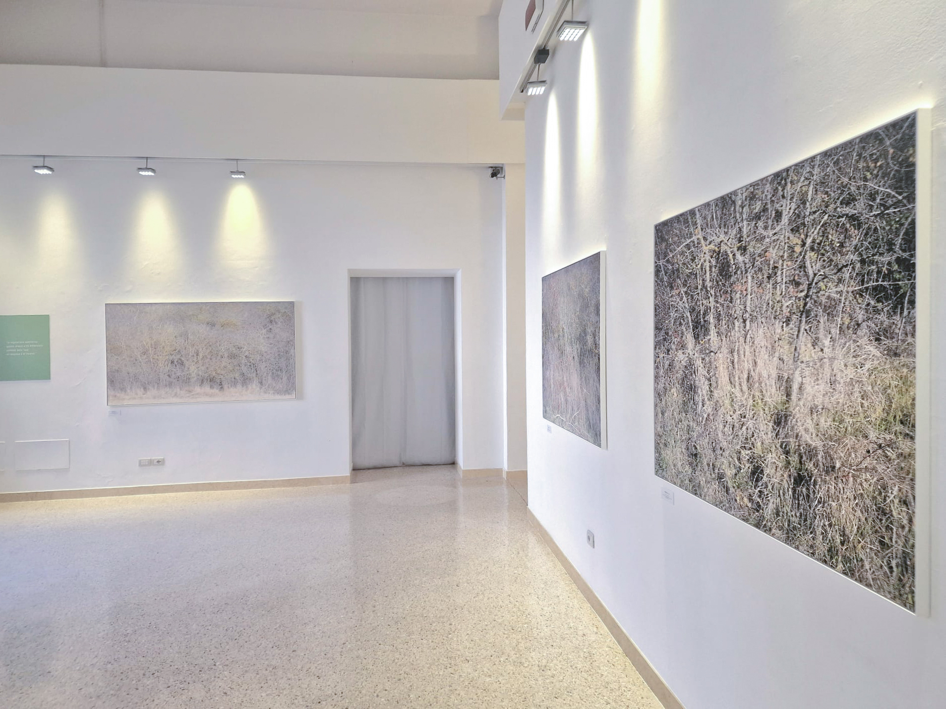 Stampa Fine Art di Grande Formato per Pino Monaco